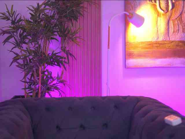 AdaSol webcam