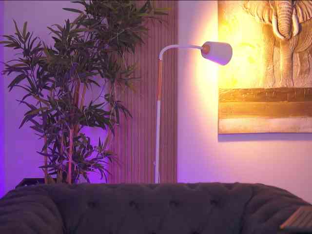 AdaSol webcam