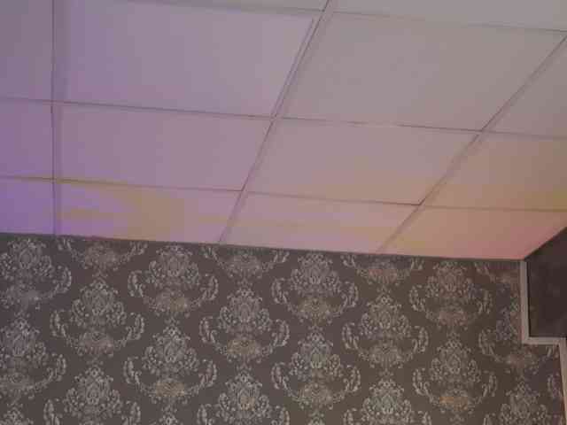 AdaSol webcam