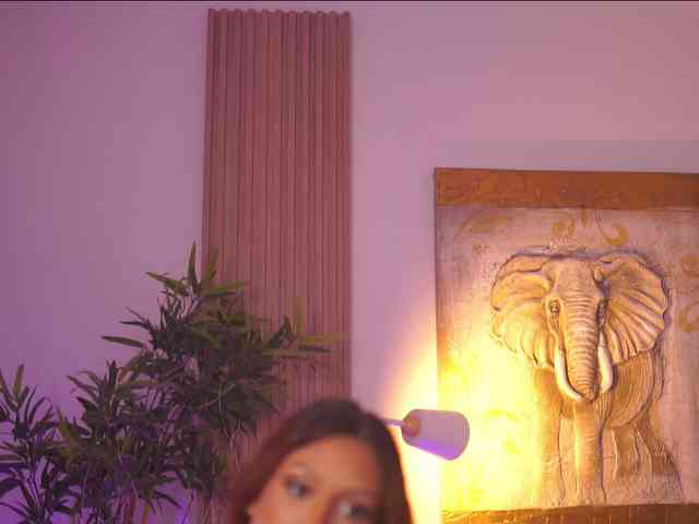 AdaSol webcam