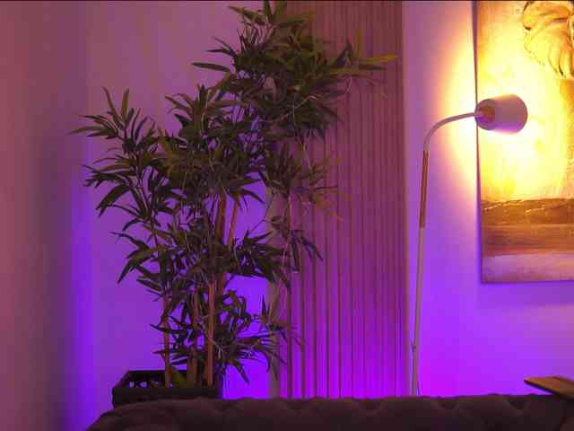 AdaSol webcam