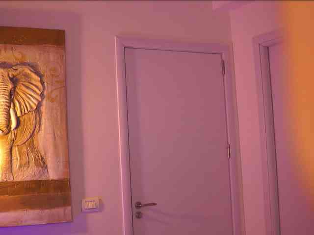 AdaSol webcam