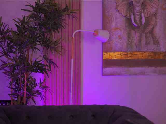 AdaSol webcam
