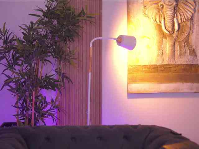 AdaSol webcam