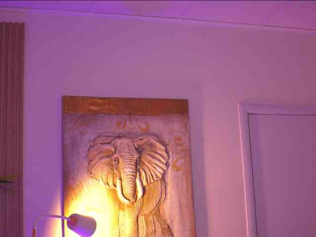 AdaSol webcam