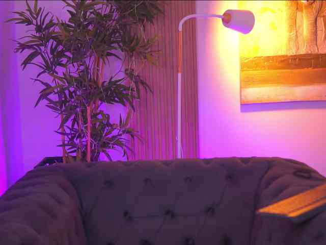 AdaSol webcam
