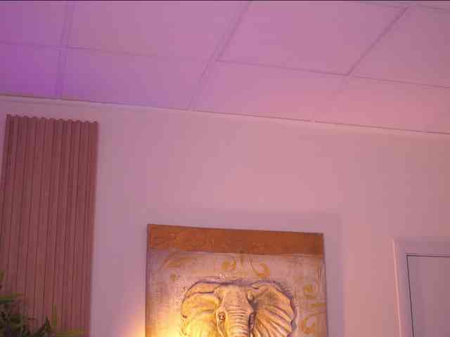 AdaSol webcam