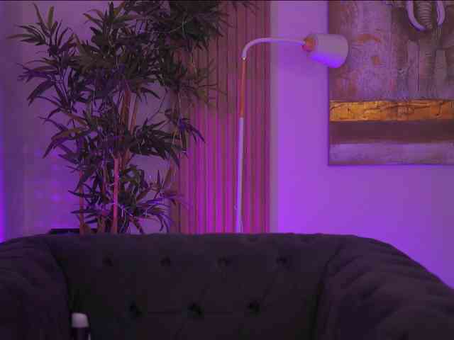 AdaSol webcam