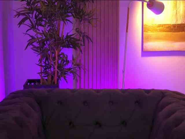 AdaSol webcam