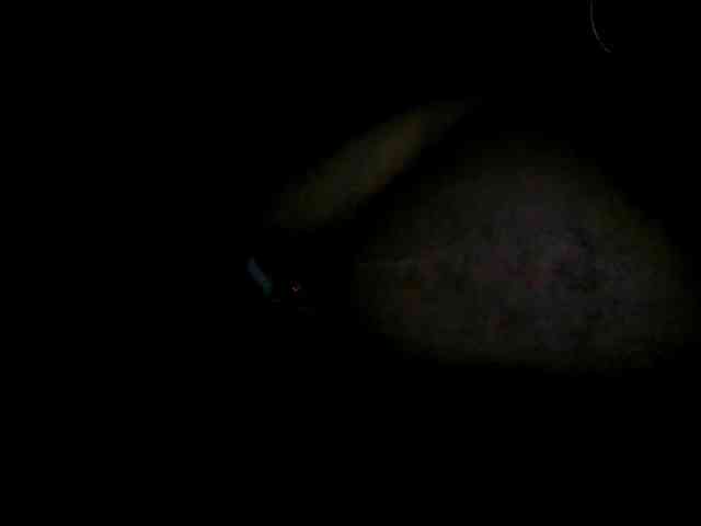 fntbzh Sex Cam Show