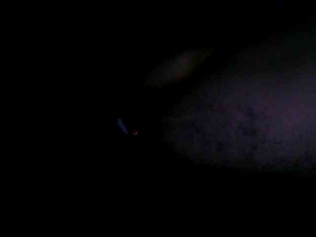 fntbzh Sex Cam Show