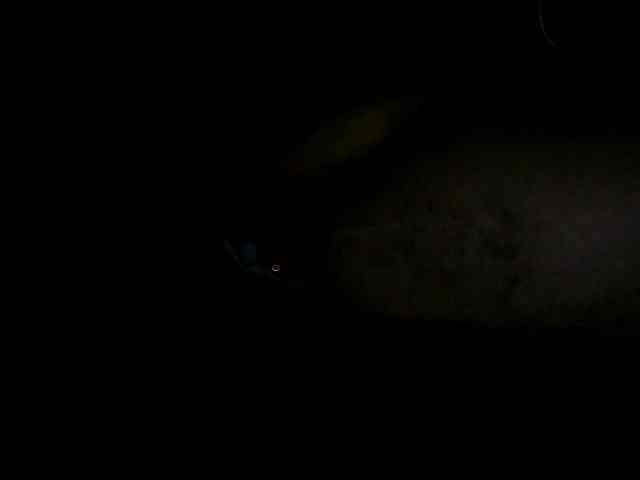 fntbzh Sex Cam Show
