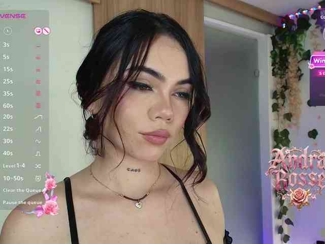andraarosse webcam