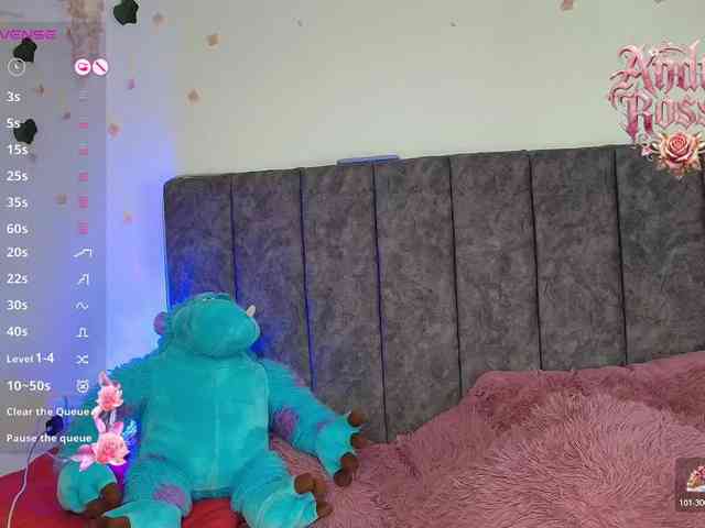 andraarosse webcam