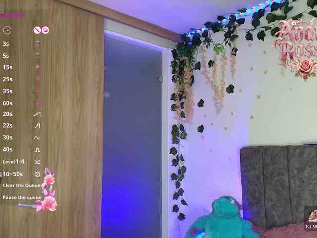 andraarosse webcam