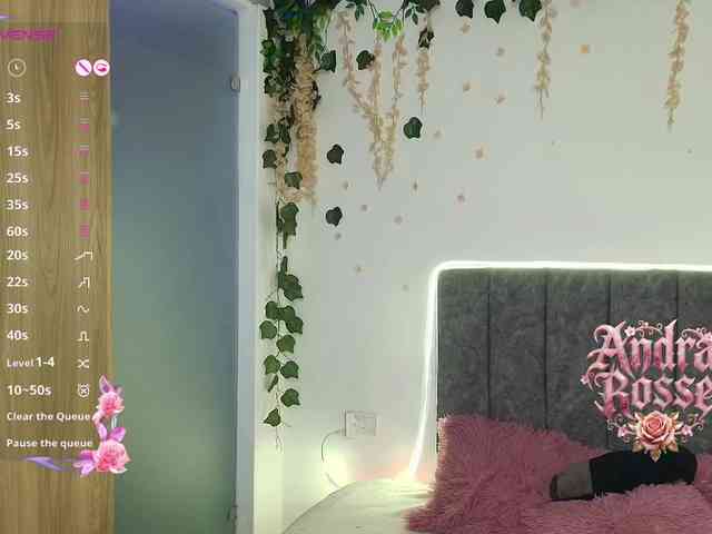 andraarosse webcam