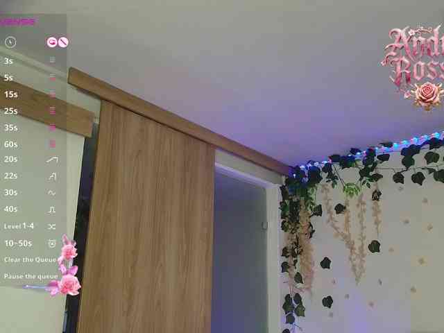 andraarosse webcam