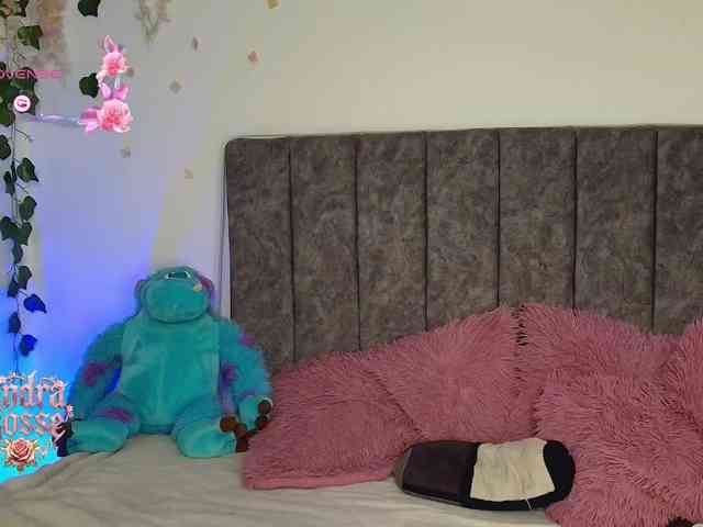 andraarosse webcam