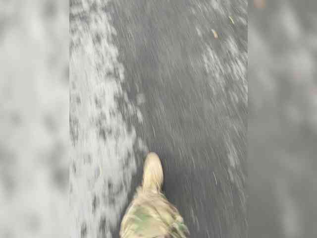 Soldat-7 Sex Cam Show