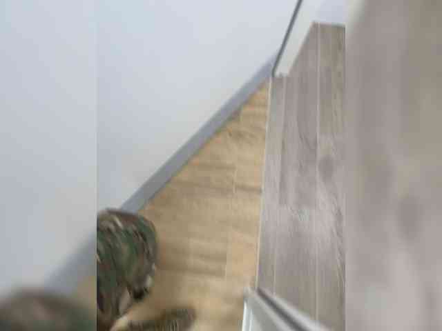 Soldat-7 Sex Cam Show
