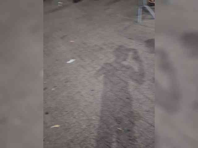 HotCouple9385 HotCouple9385
