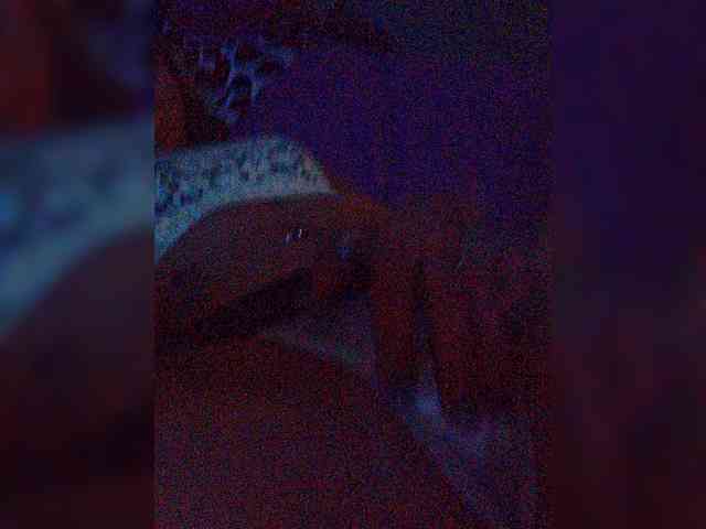 HotCouple9385 Sex Cam Show