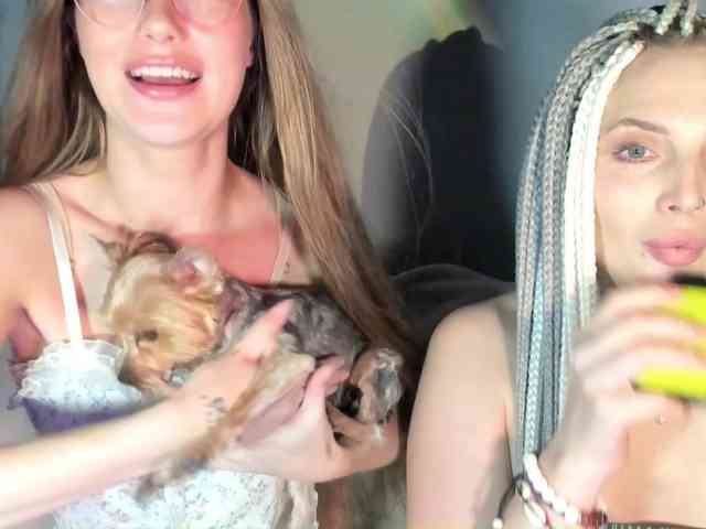 sweetpussys webcam