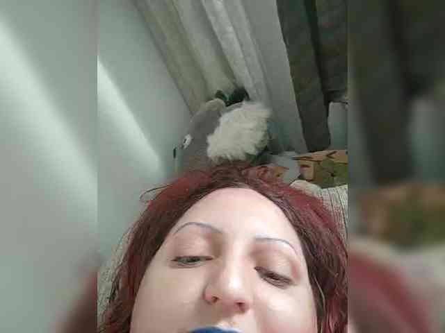 Bonnie-Daysie webcam