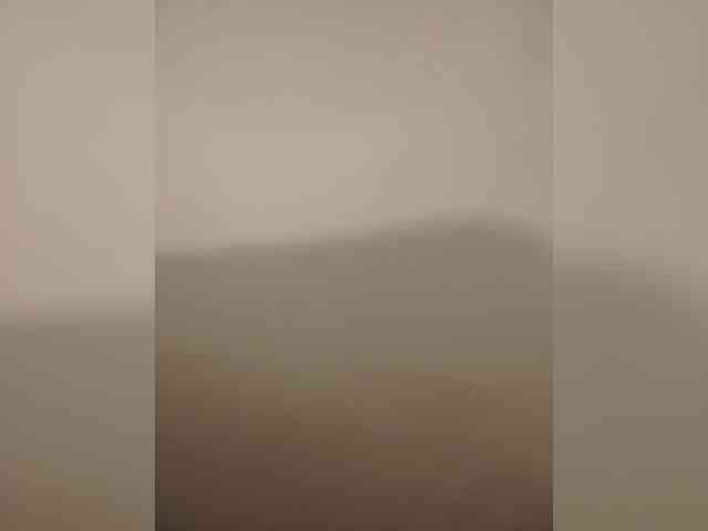 FeaaMiranda28 webcam