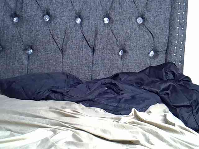 Midnightmusee webcam