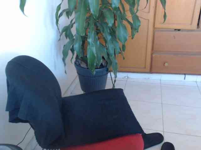 Roccospiaa Roccospiaa