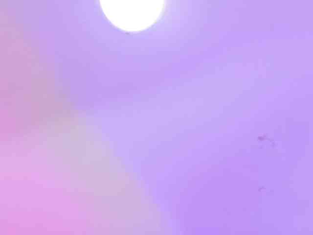 LILYBLAIR webcam