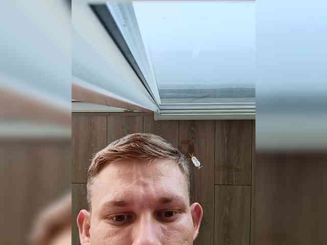 Sleks2 Live Webcam on BongaCams