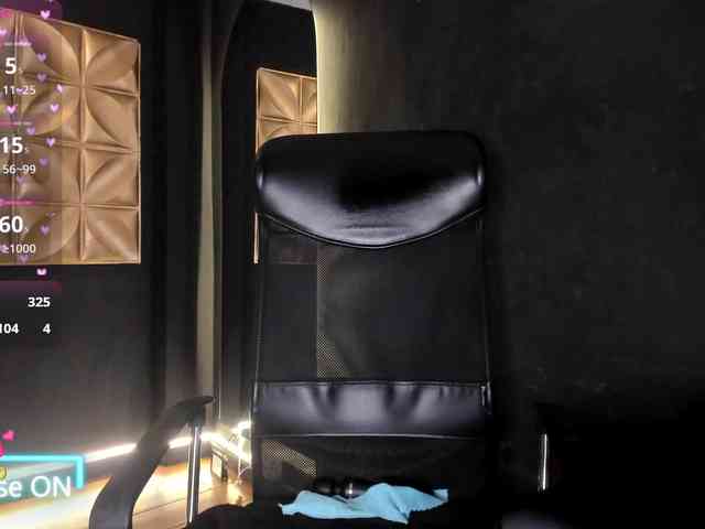 connywells webcam