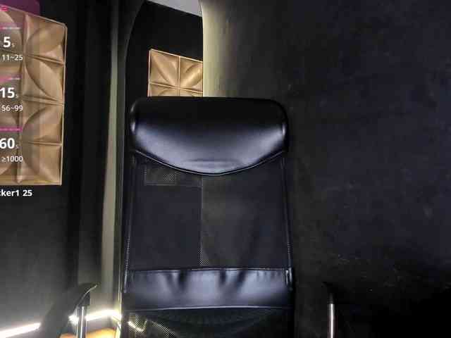 connywells webcam