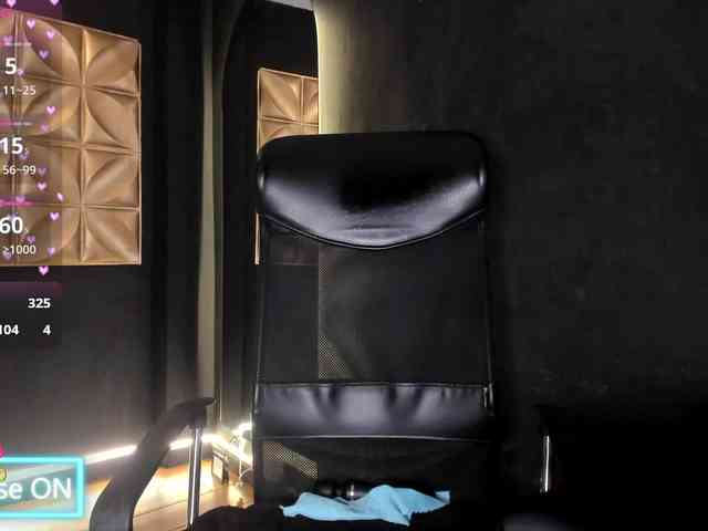 connywells webcam