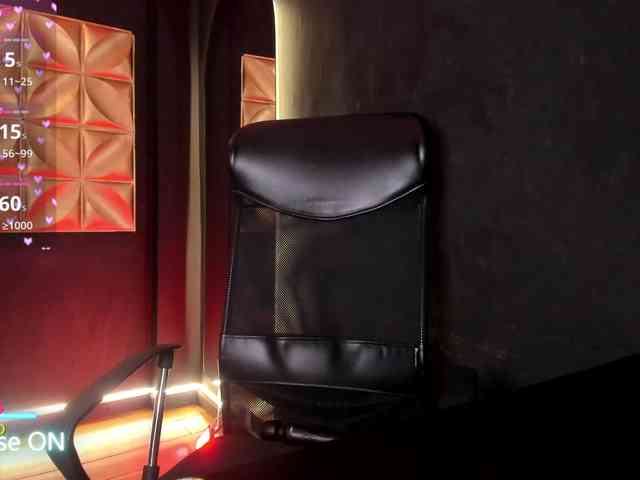 connywells webcam