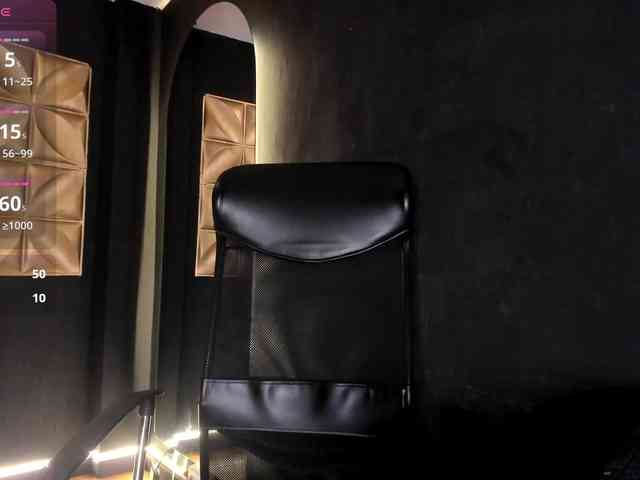 connywells webcam