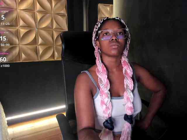 connywells webcam