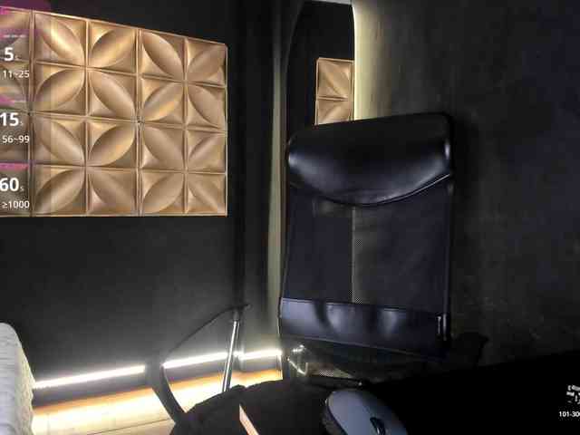 connywells webcam