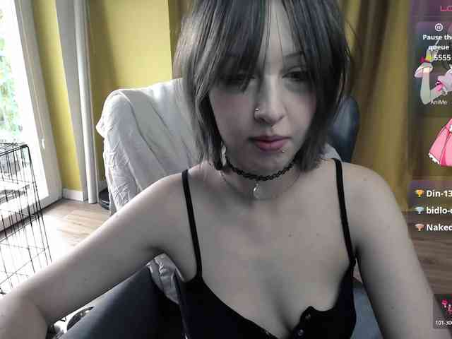 RezeBomb webcam