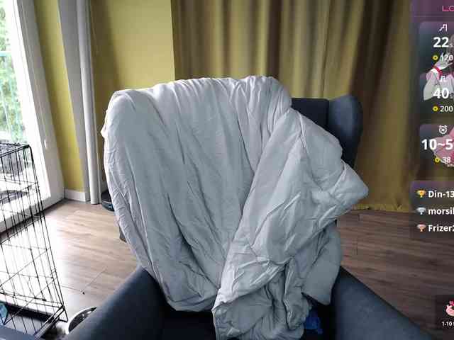 RezeBomb webcam