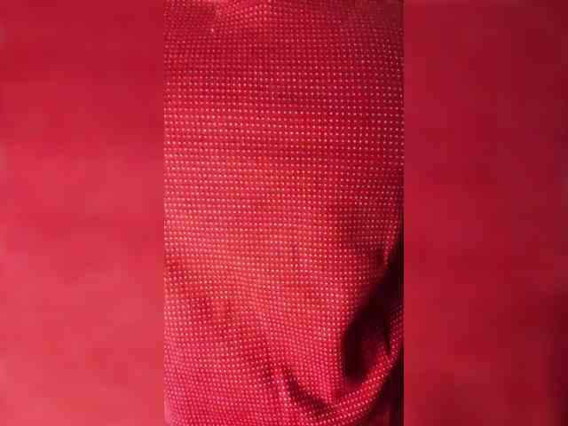Modelo: Sasha_Sky