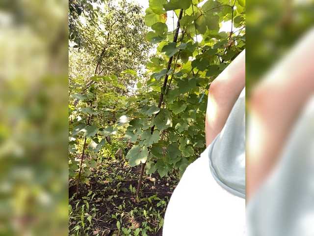 AyraMoon