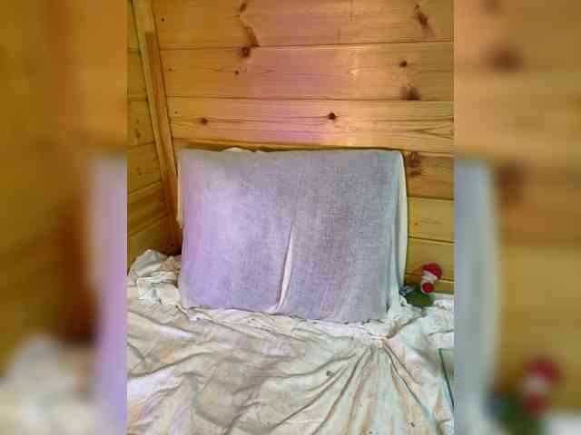 AyraMoon webcam