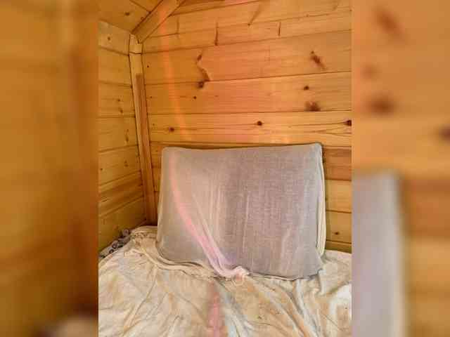 AyraMoon webcam