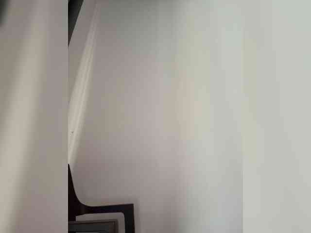AyraMoon webcam