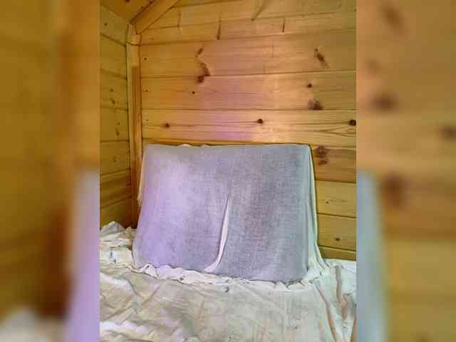 AyraMoon webcam