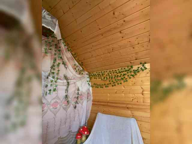 AyraMoon webcam