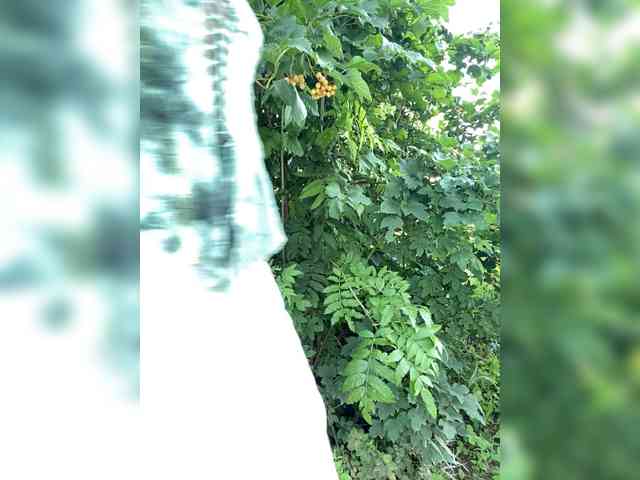AyraMoon webcam